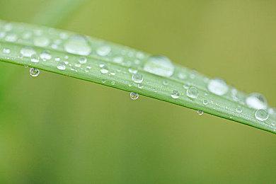 肉鸽游戏《凯特：附加伤害》新预告 10月23日发售